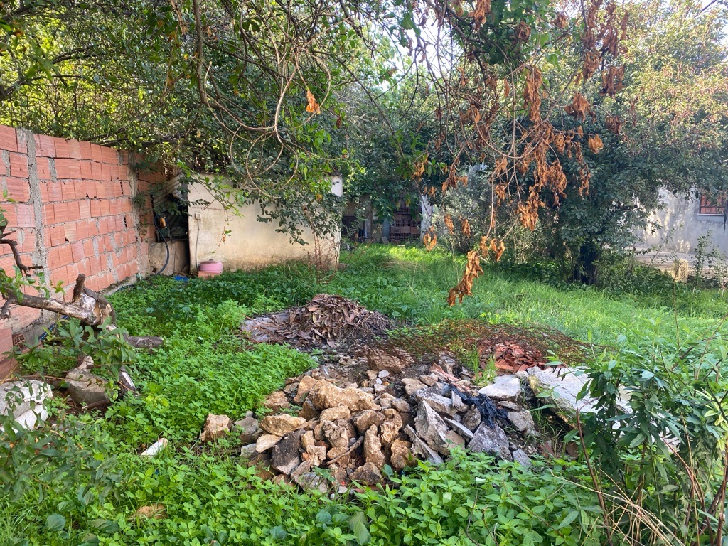 Terre a vendre a manzel bourgiba bizerte