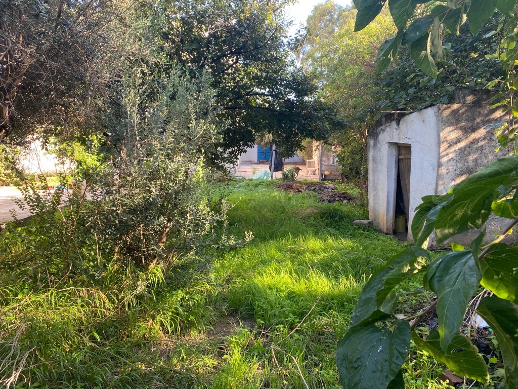 Terre a vendre a manzel bourgiba bizerte