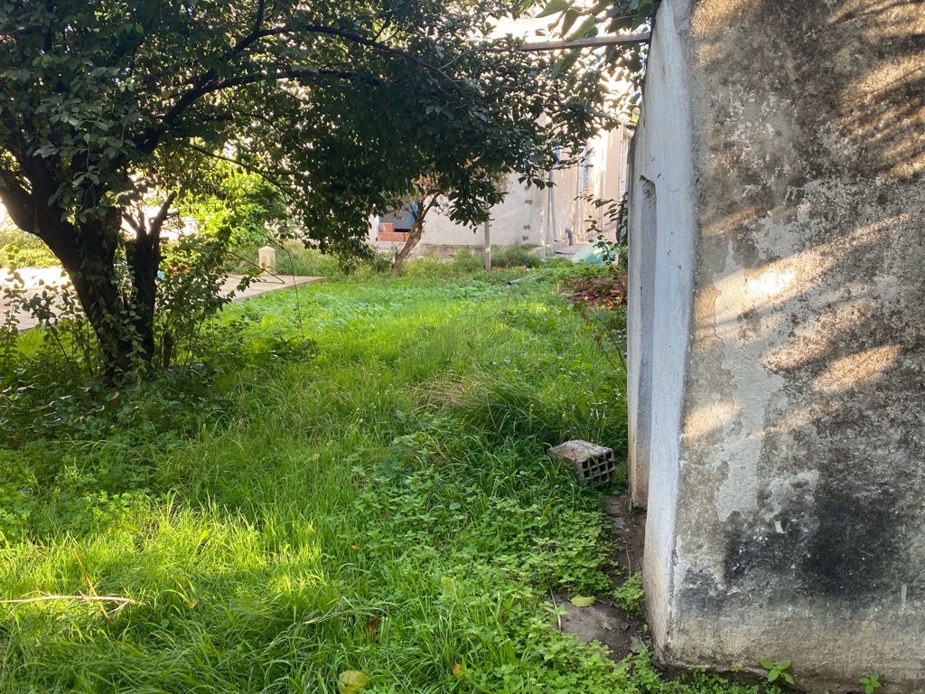Terre a vendre a manzel bourgiba bizerte