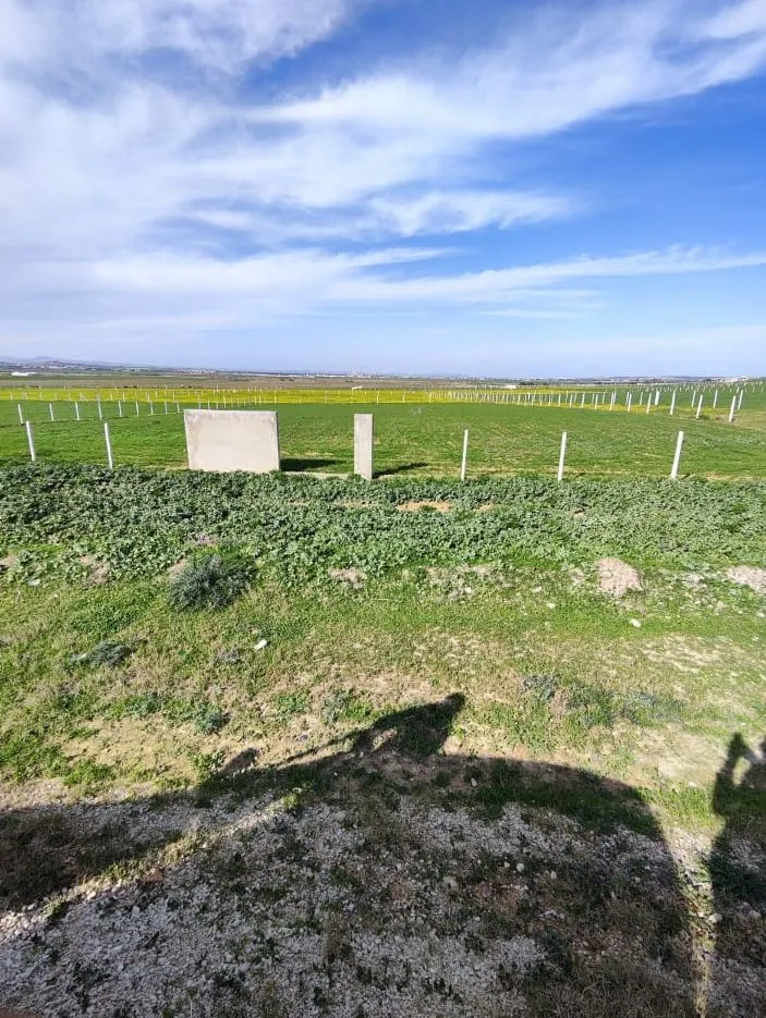 صبغة سكنية terrain الفجة 