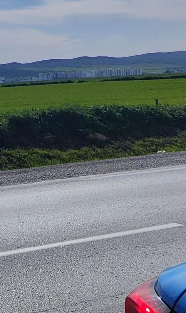 صبغة سكنية terrain الفجة 