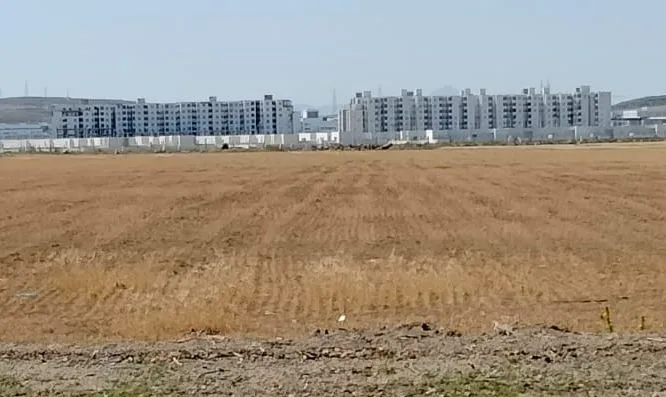 صبغة سكنية terrain الفجة 