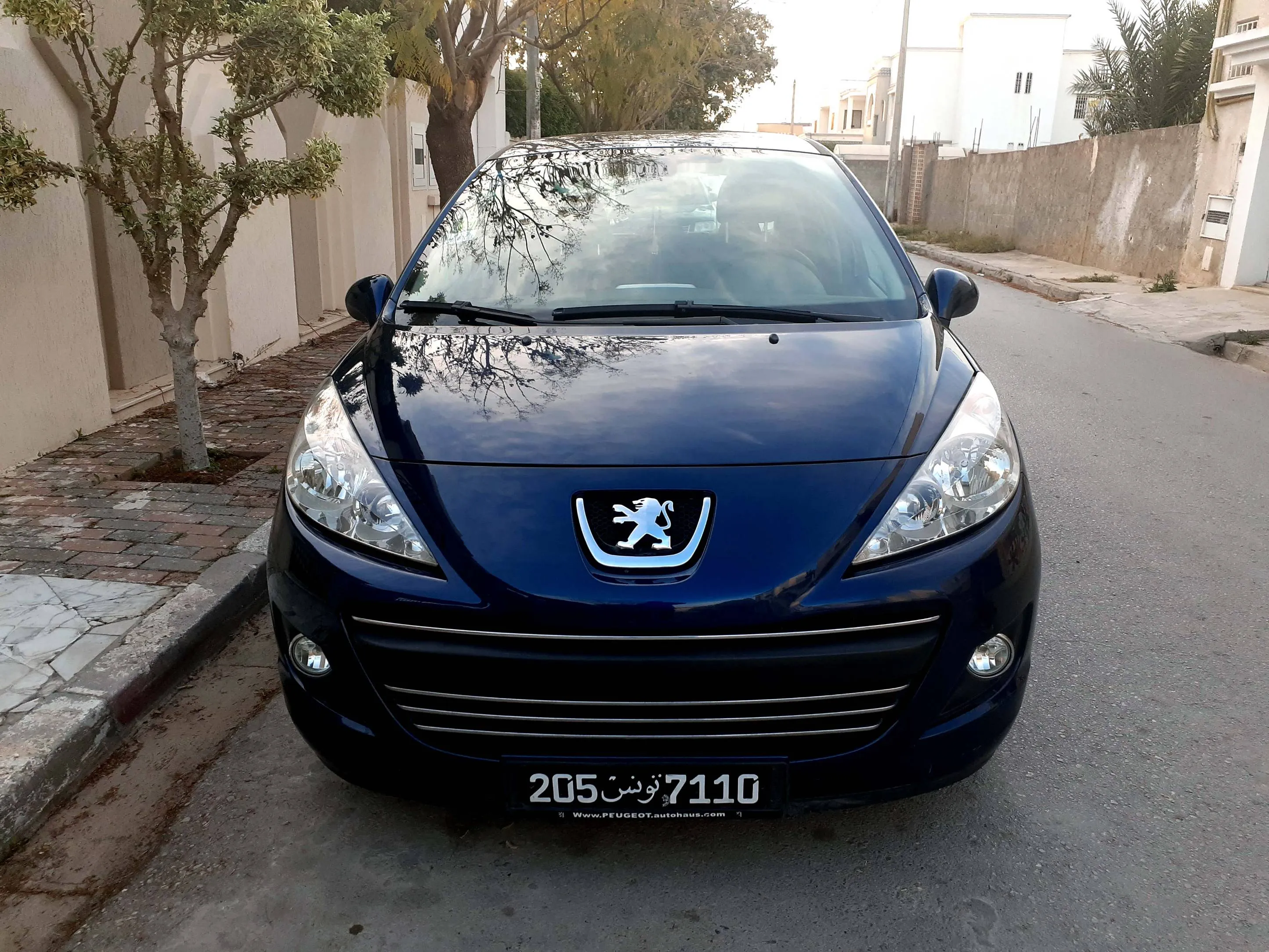 Peugeot 207 GAMME EDITION UNIQUE série205 km100 (تسجيل اول)
