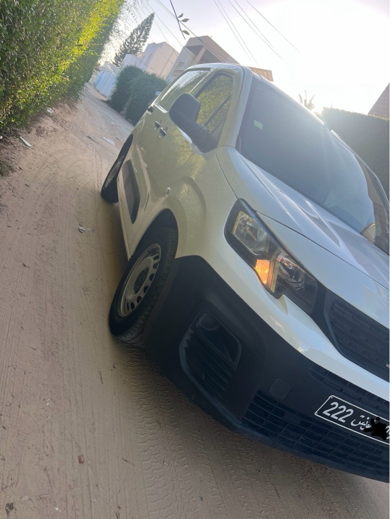 Peugeot k9