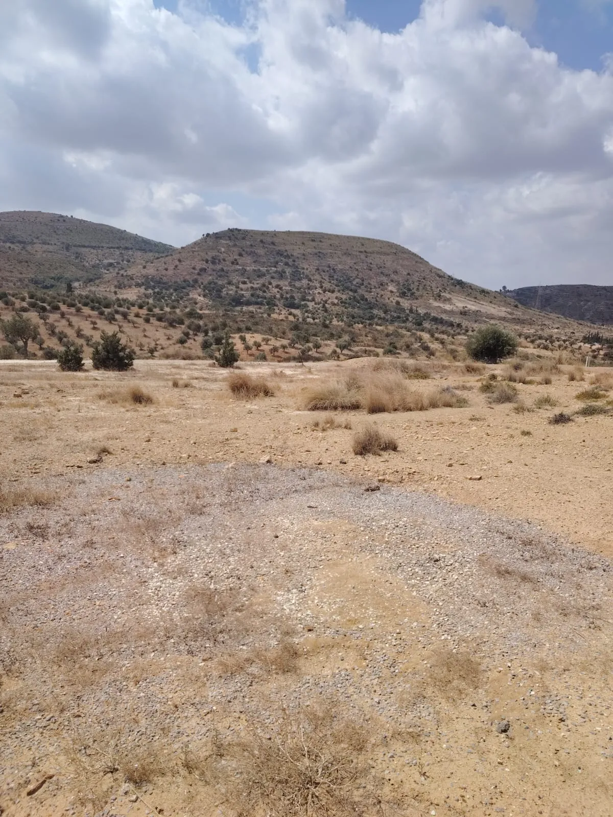 A vendre terrain a Jabes