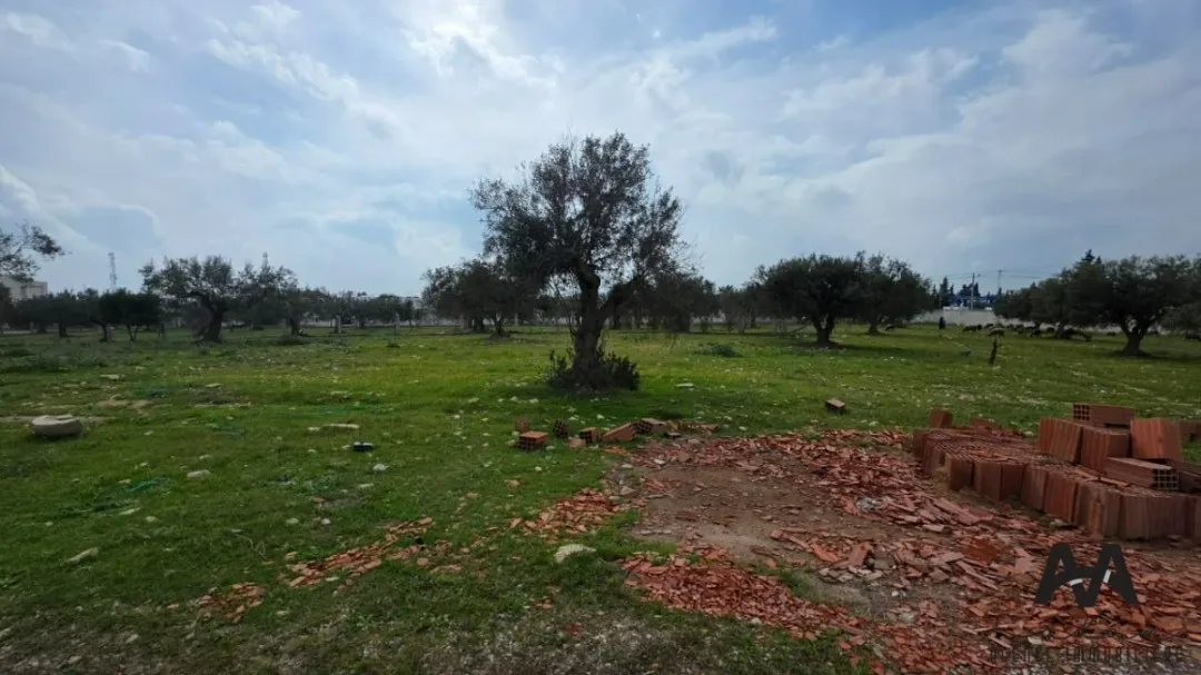 Terrain de 1 000 m² à El Besbassia – Hammamet