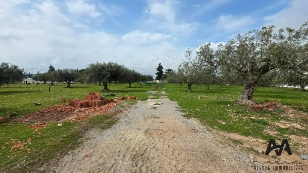 Terrain de 1 000 m² à El Besbassia – Hammamet