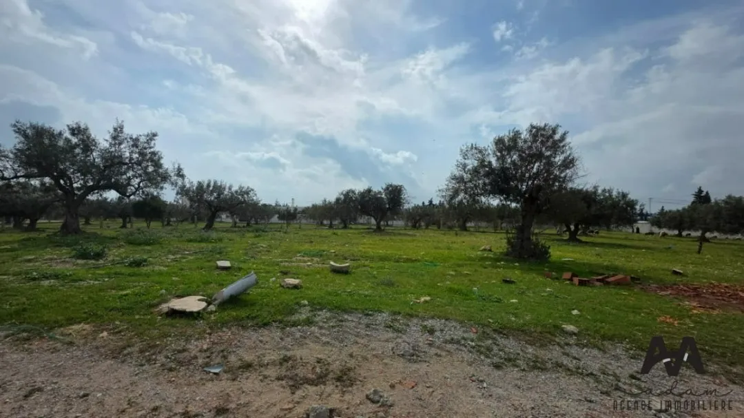 Terrain de 1 000 m² à El Besbassia – Hammamet