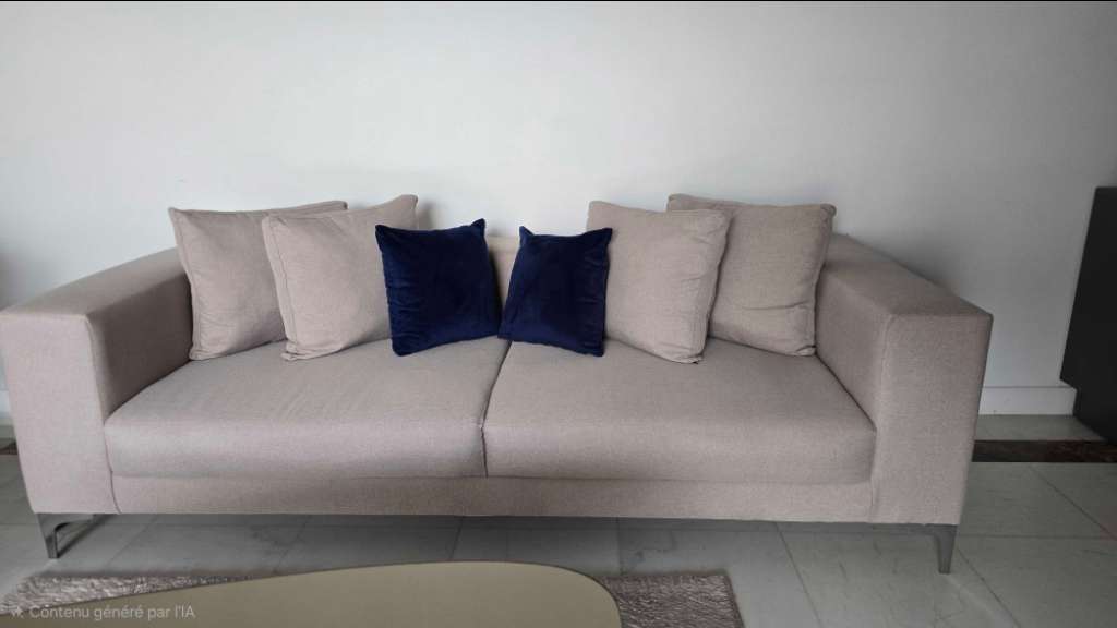 Salon en excellente état