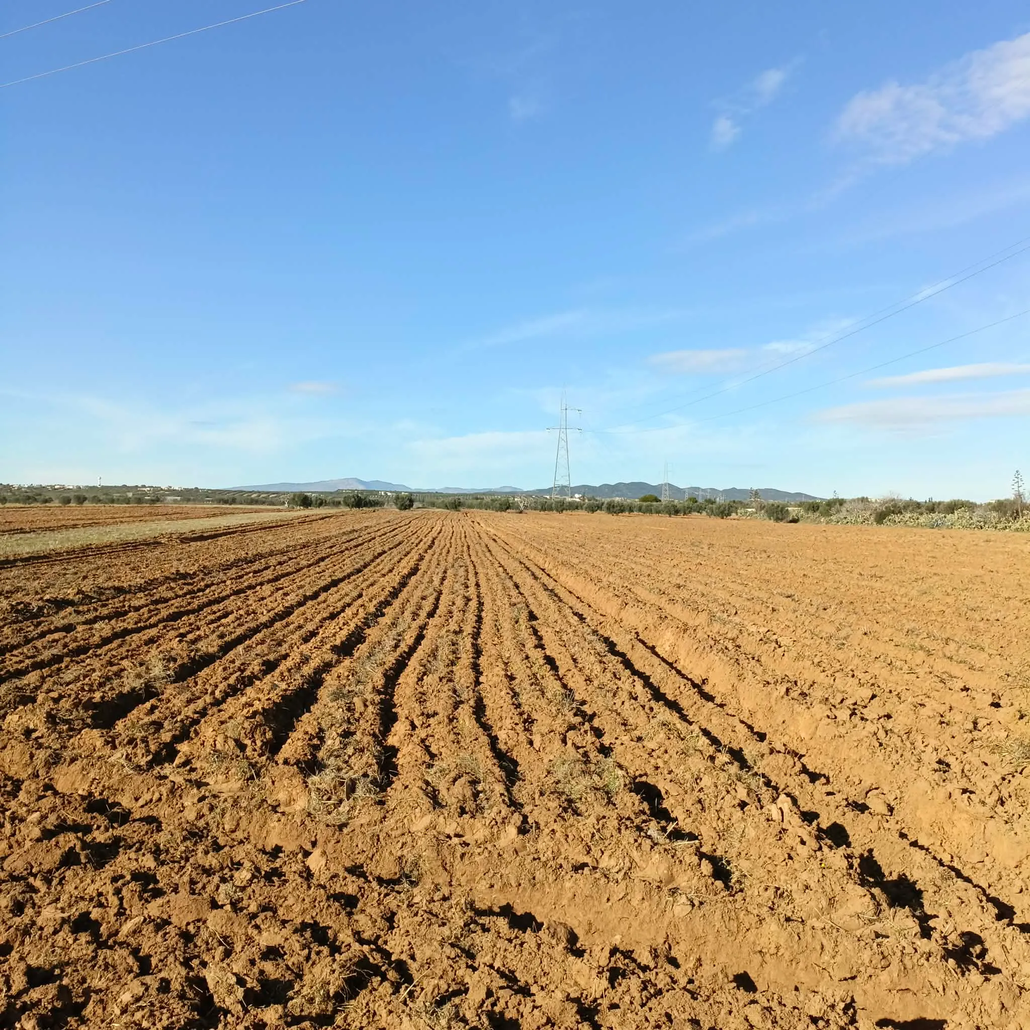 AV terrain de 1 hectare+500m à sidi said bouficha 