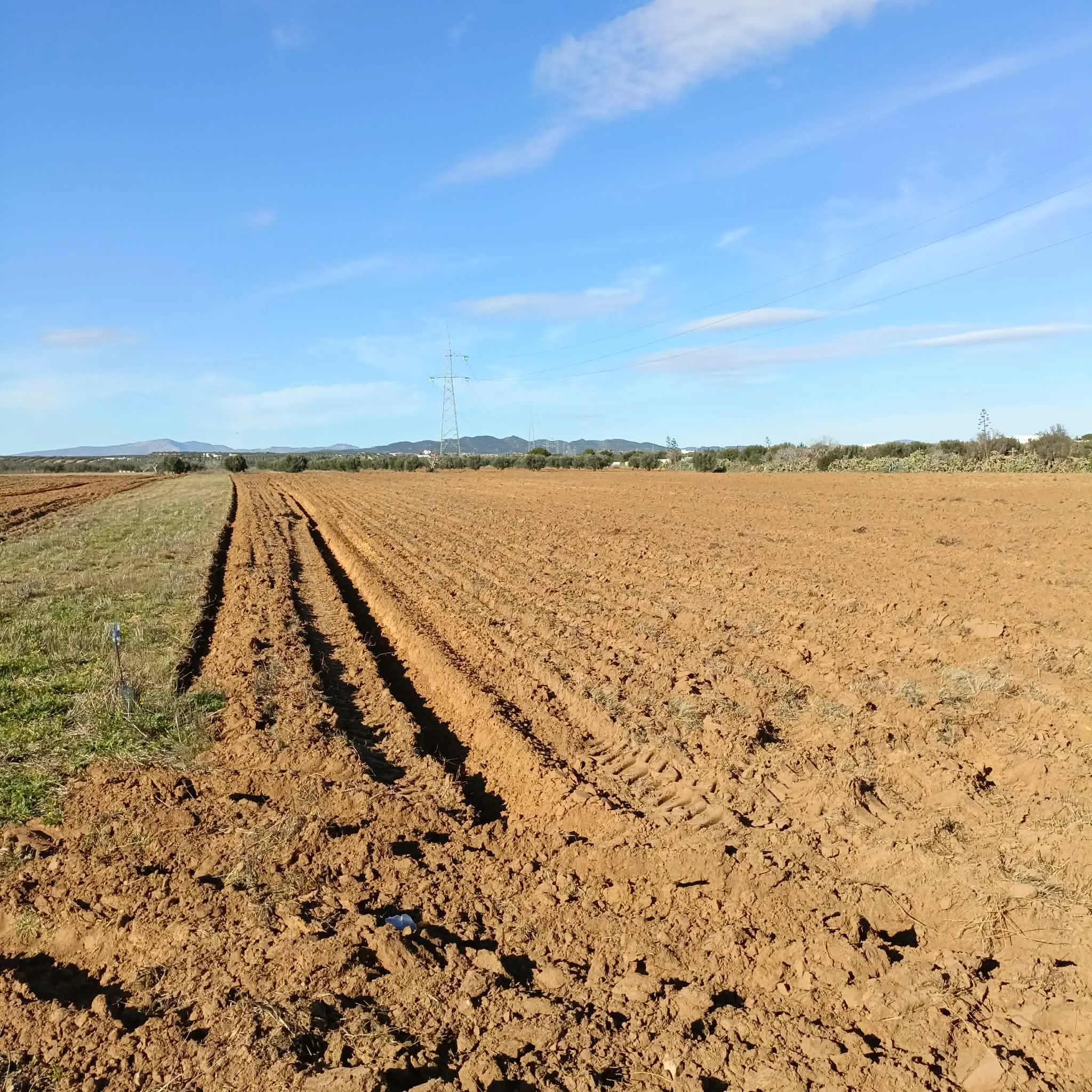 AV terrain de 1 hectare+500m à sidi said bouficha 