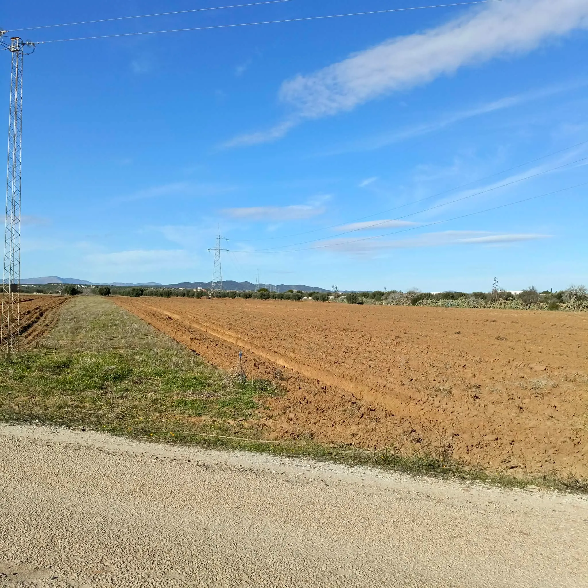 AV terrain de 1 hectare+500m à sidi said bouficha 