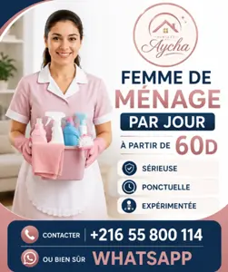 Femme de ménage par jour