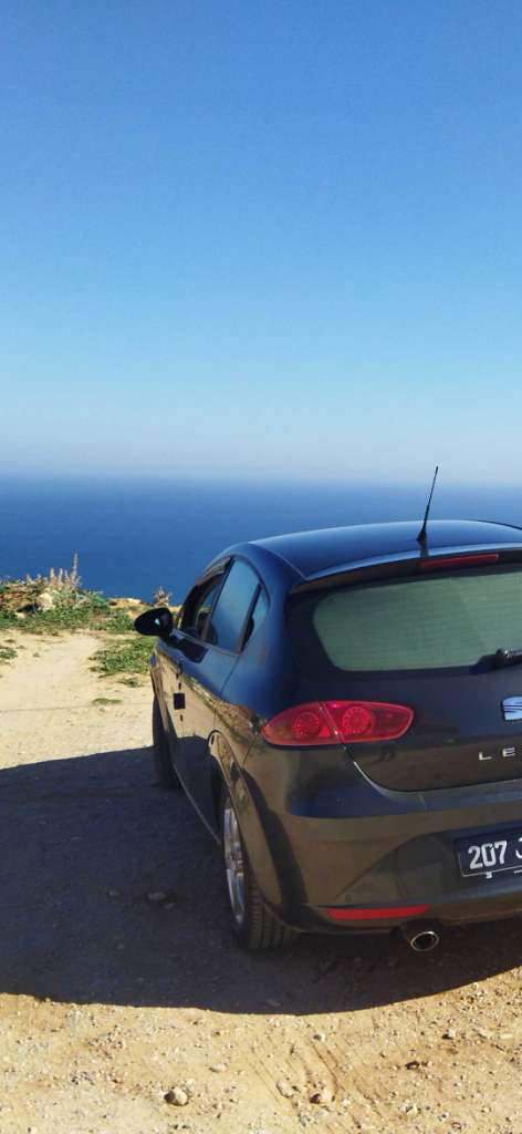 Seat Leon tdi