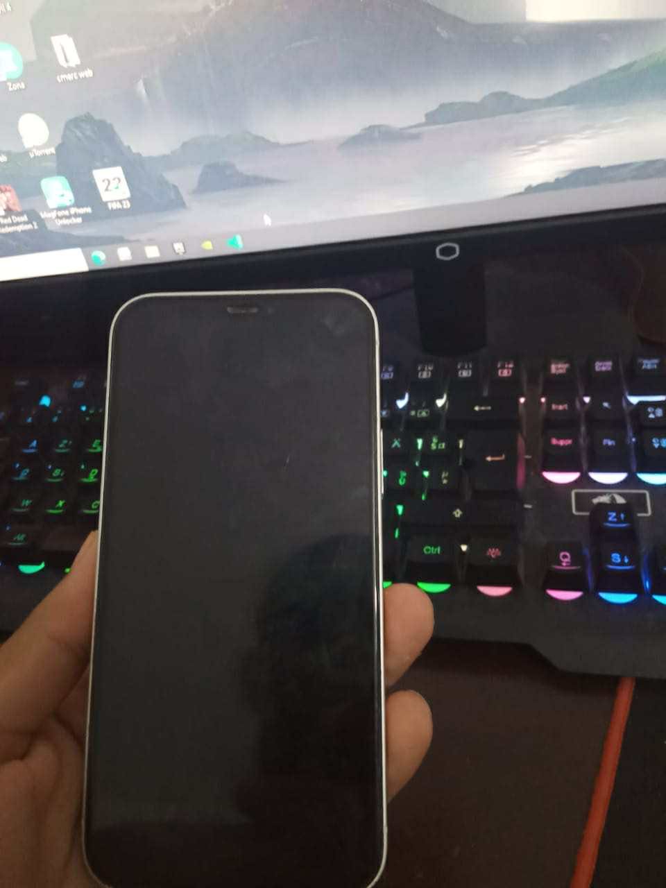 iPhone 12