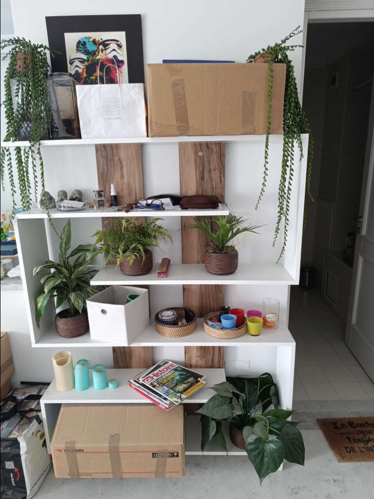 Étagère de rangement/Bibliothèque 