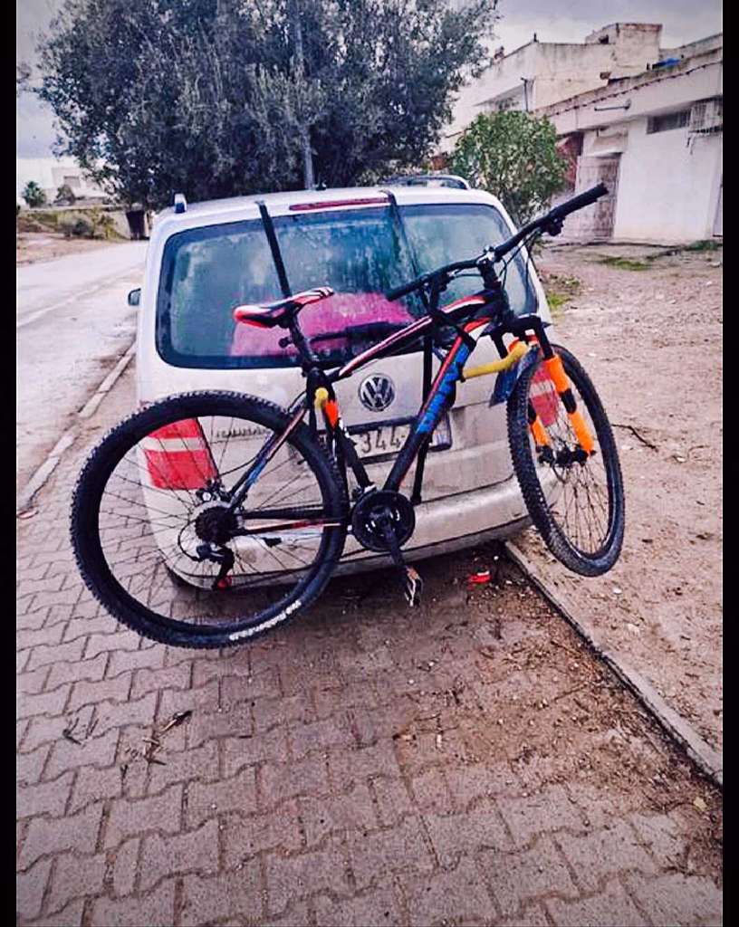 Vélo Austria 29 