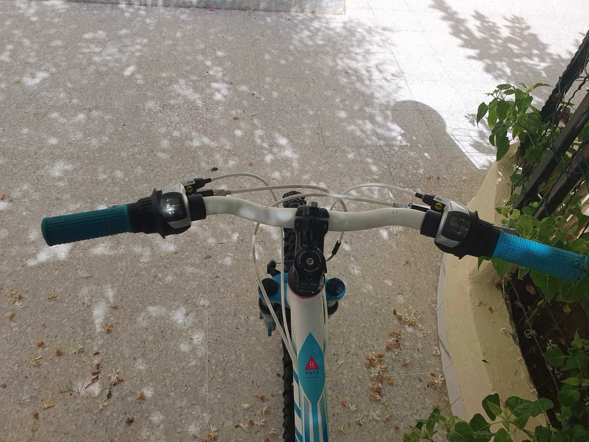 VTT cube race 24pouce alu importer