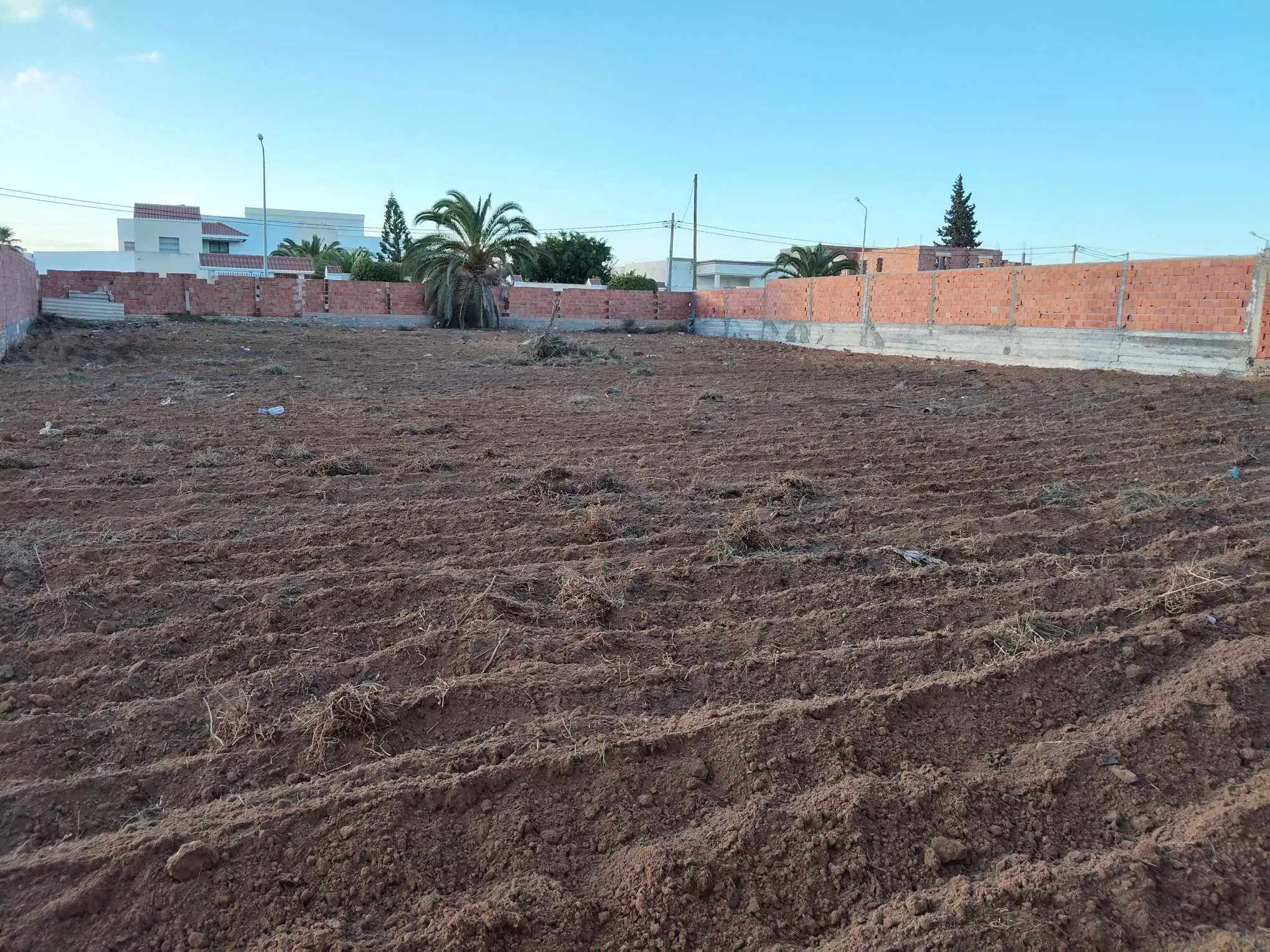 Terrain de 1 940 m² – Route Saltnia km 5, Sfax
