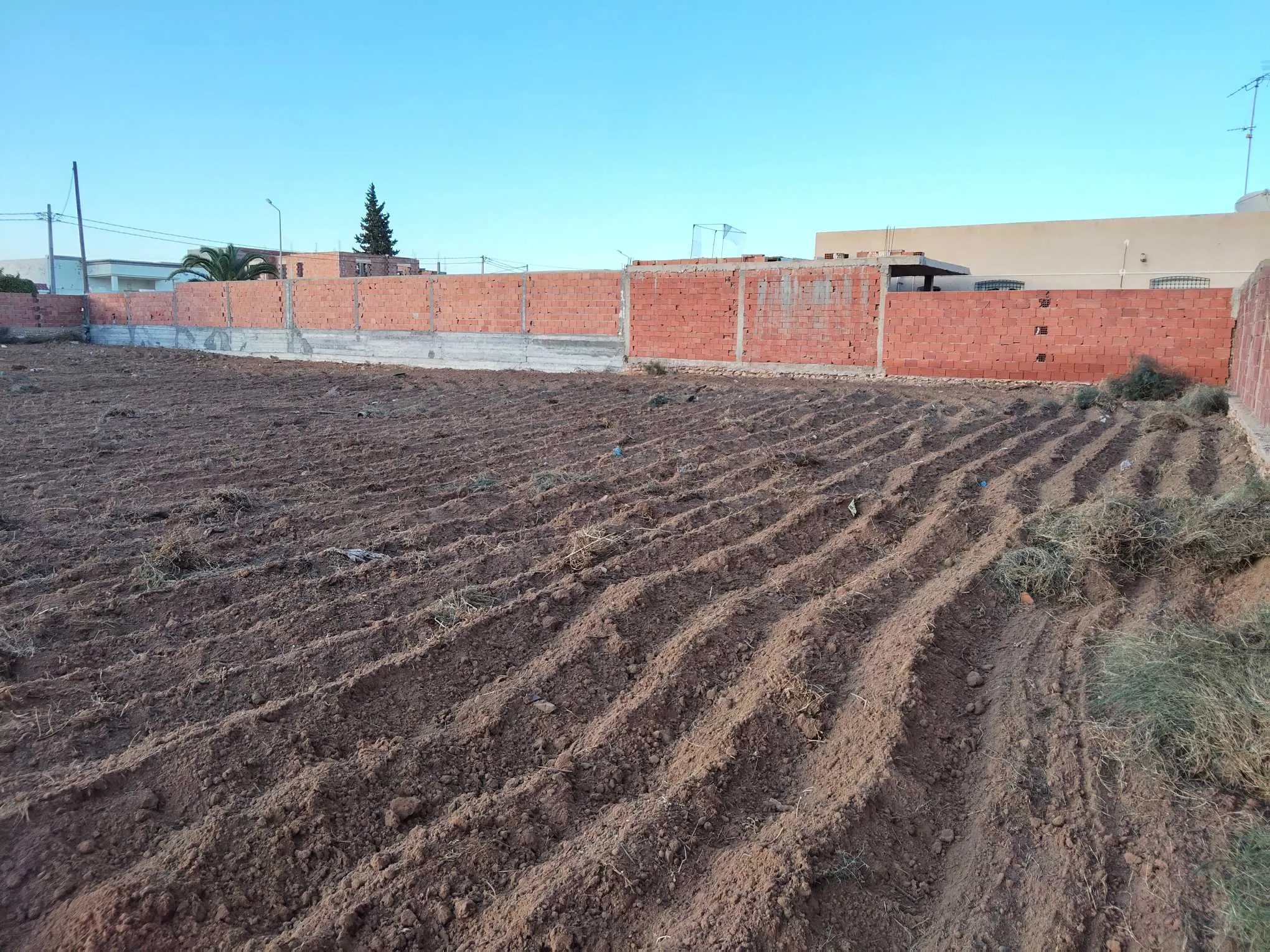 Terrain de 1 940 m² – Route Saltnia km 5, Sfax