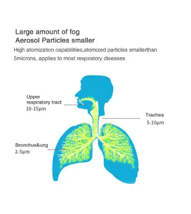 Nébuliseur portatif d'oxygène
