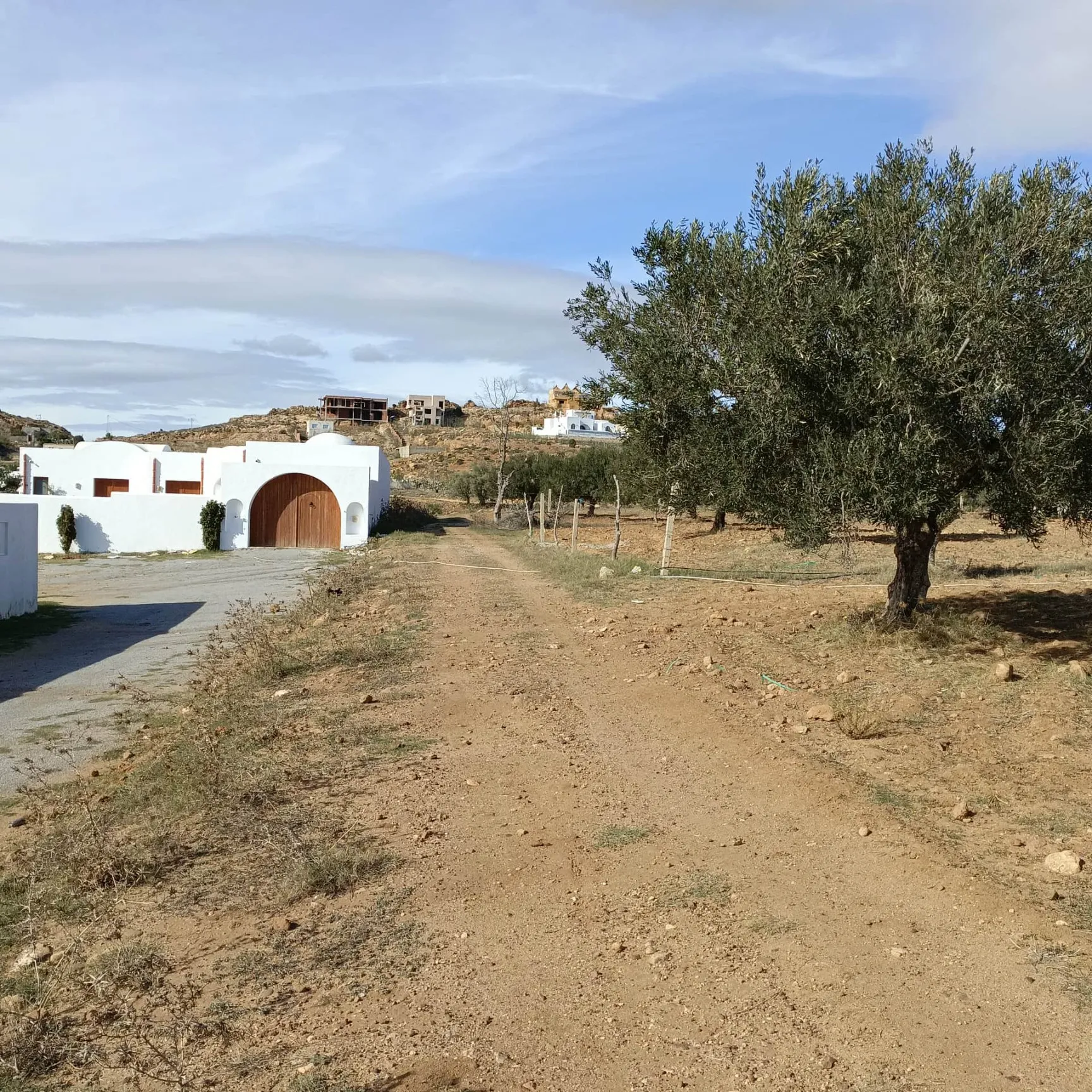 AV lot de 1000m à MONCHAR hammamet sud 