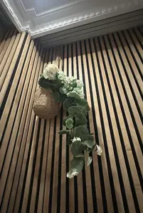 Plante