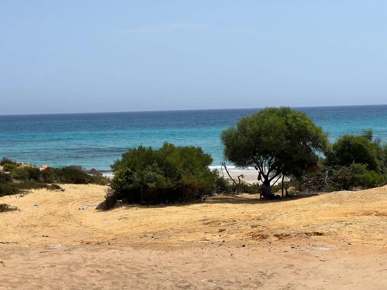 un terrain de 1000 m²