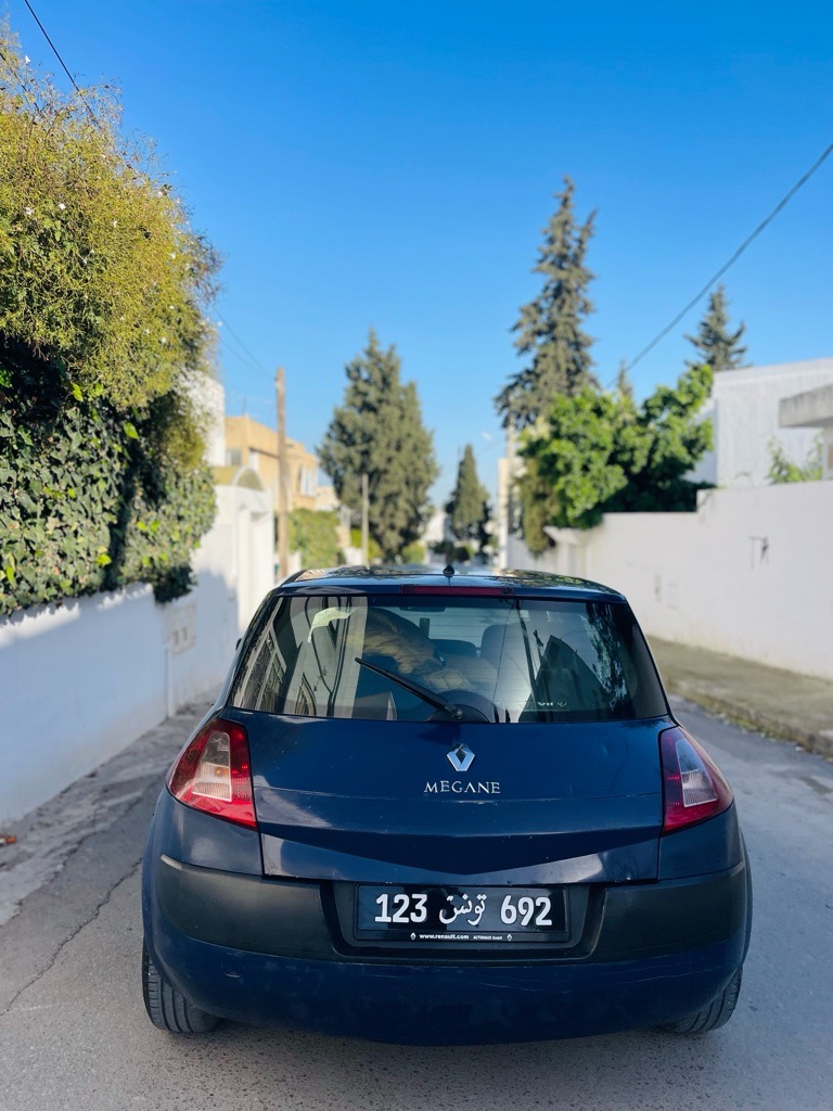 Une belle megane 1.5 🇳🇱🇳🇱🇳🇱