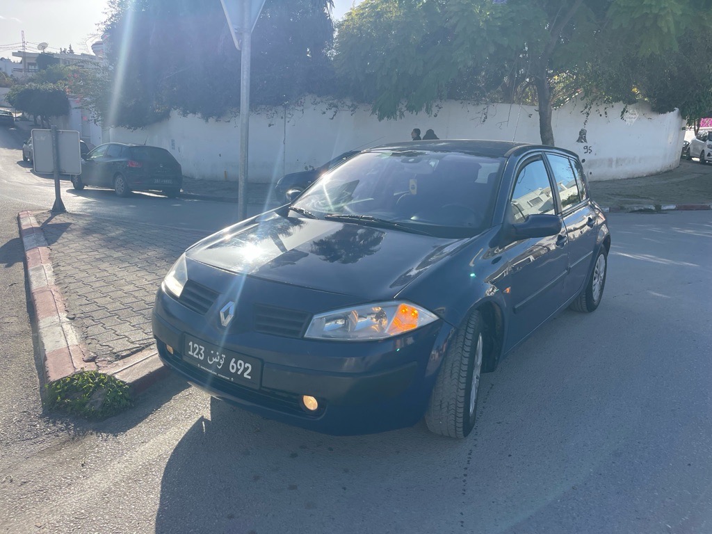 Une belle megane 1.5 🇳🇱🇳🇱🇳🇱