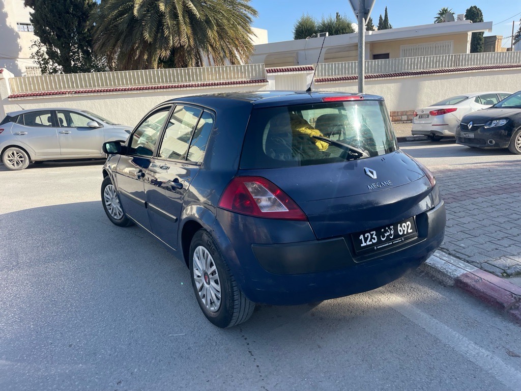 Une belle megane 1.5 🇳🇱🇳🇱🇳🇱