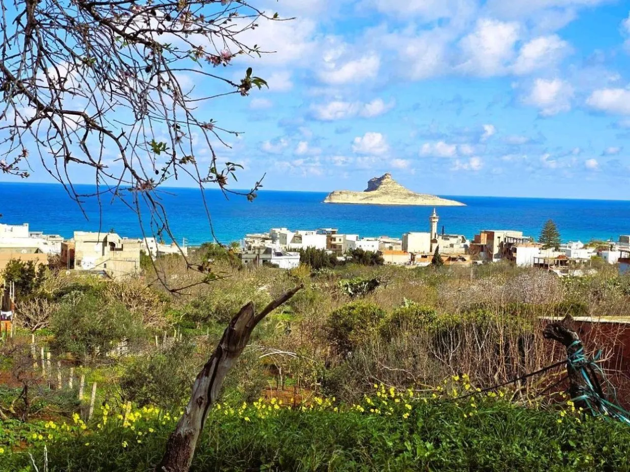  Terrain 1060 m2 rafraf plage Lahmeri 