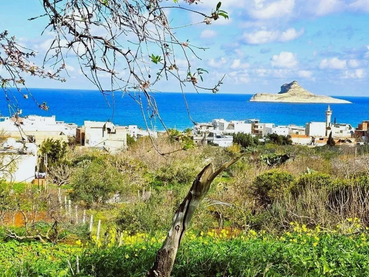  Terrain 1060 m2 rafraf plage Lahmeri 