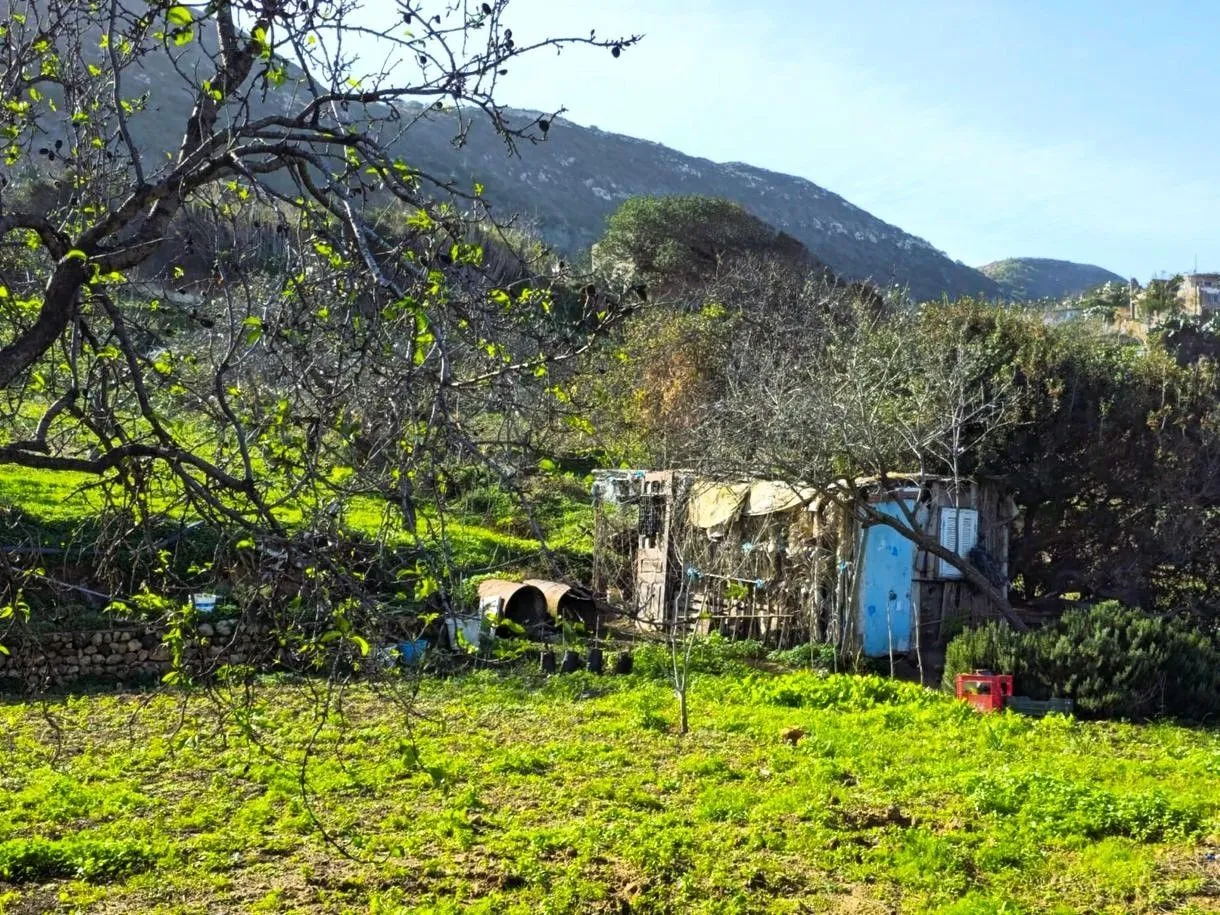  Terrain 1060 m2 rafraf plage Lahmeri 