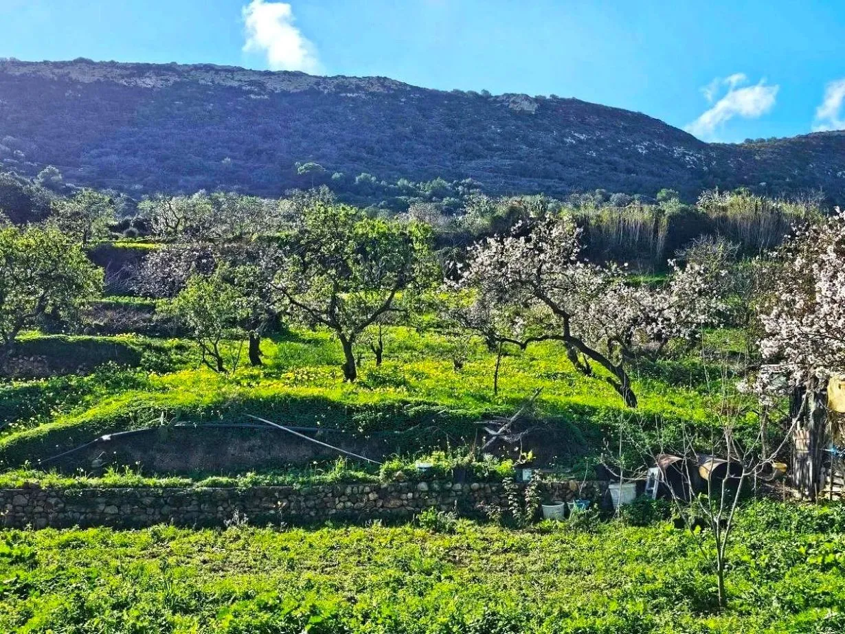  Terrain 1060 m2 rafraf plage Lahmeri 