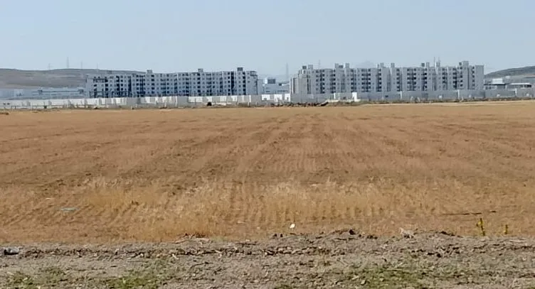 El fejja terrain صبغة سكنية