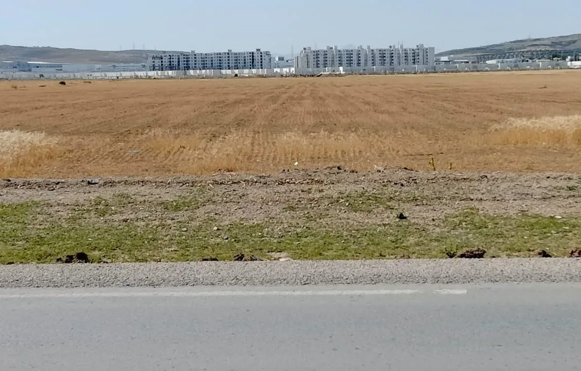 El fejja terrain صبغة سكنية