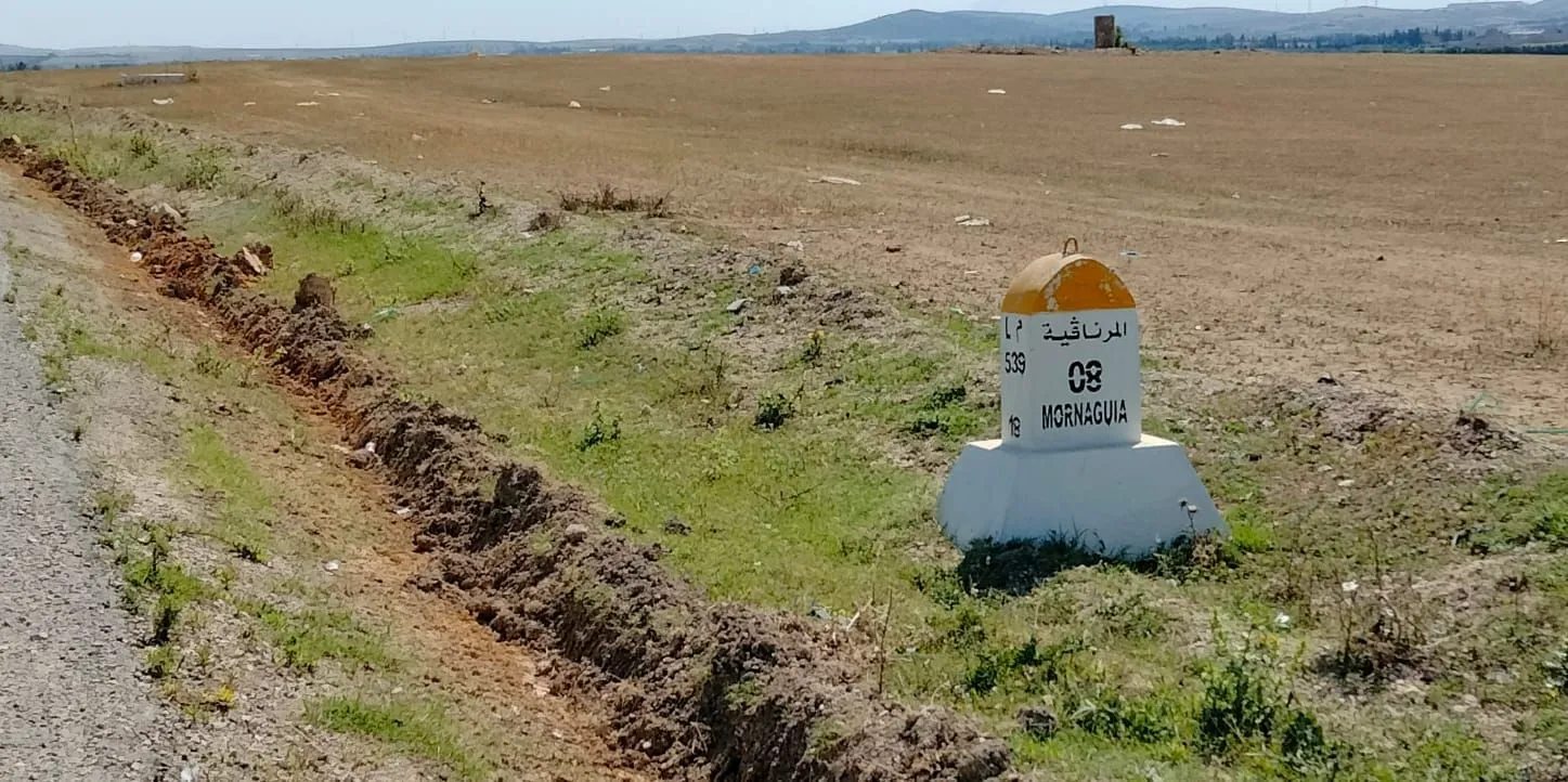 El fejja terrain صبغة سكنية