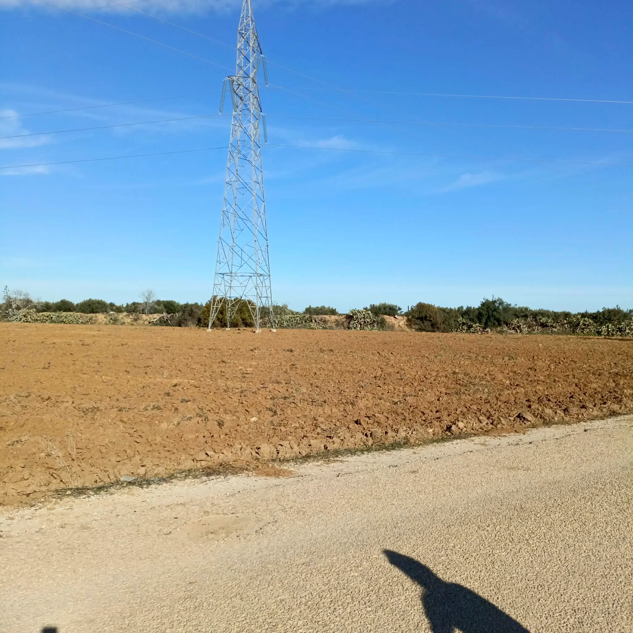 AV hectare+500m sur la route à sidi said 