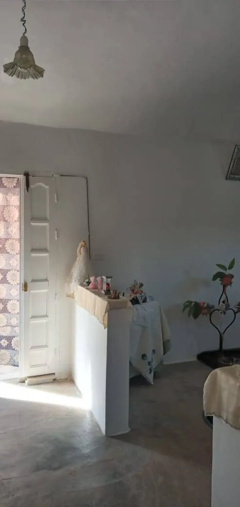 maison avec un garage à vendre