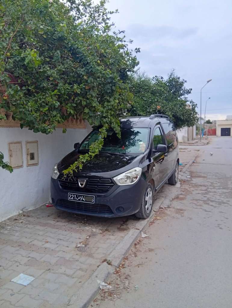 Dacia dokker 
