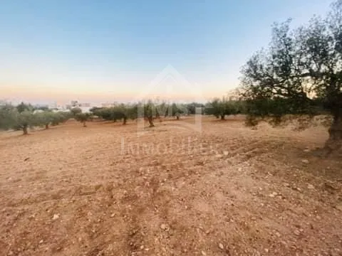 Terrain de 4018 m² à vendre à 200 dt/m² à Hammamet Sud 51355351