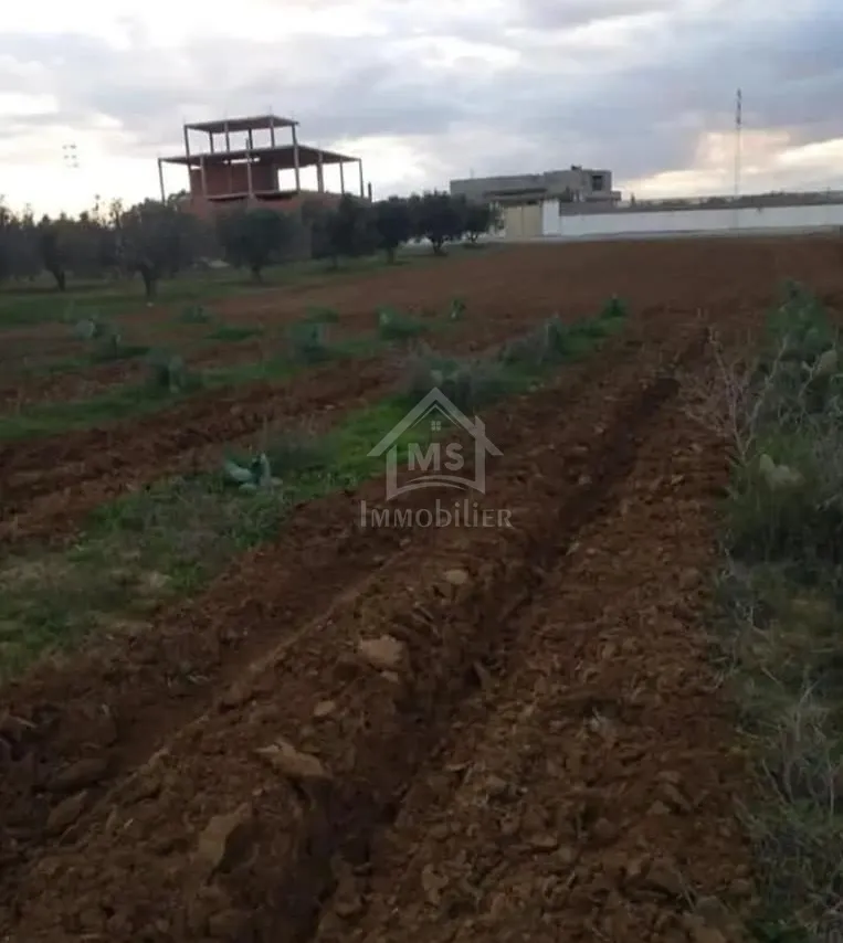 Terrain de 2000 m² à birbouragba à vendre 51355351