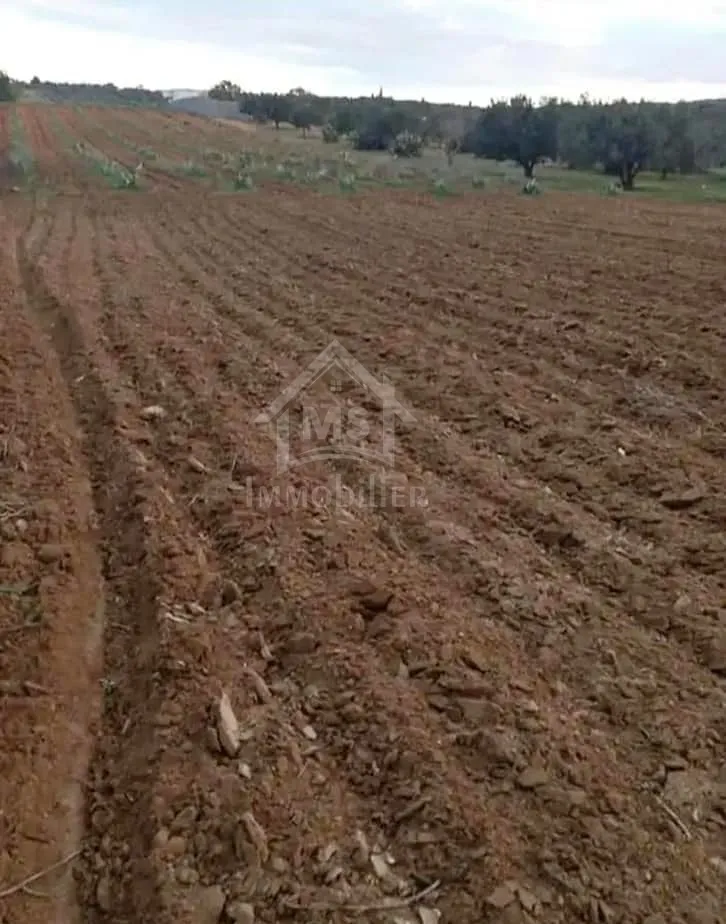 Terrain de 2000 m² à birbouragba à vendre 51355351