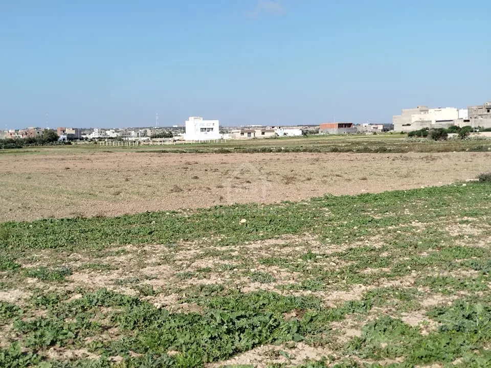 Un terrain de 669 m² à Maamoura à vendre 51355351
