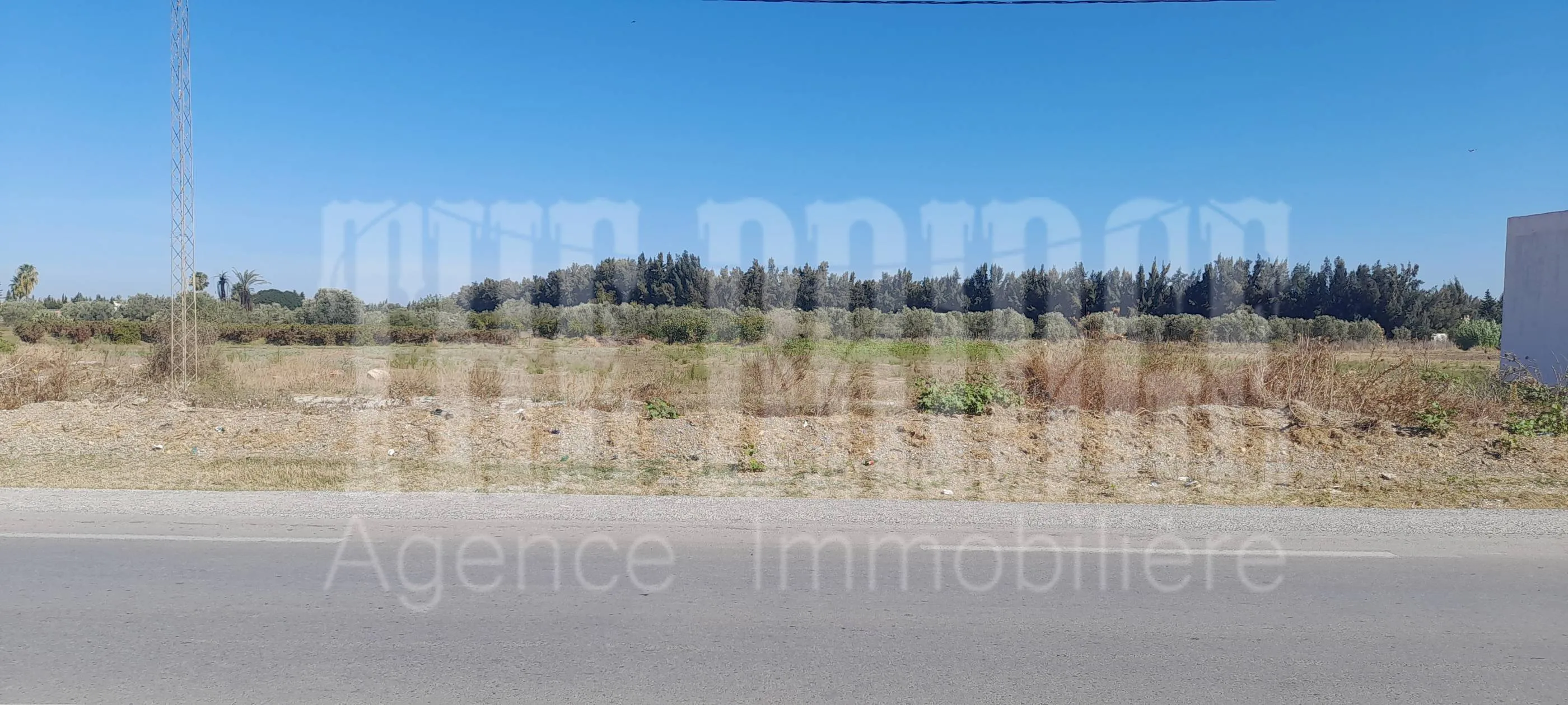 425 m² à Turki sur la route R27
