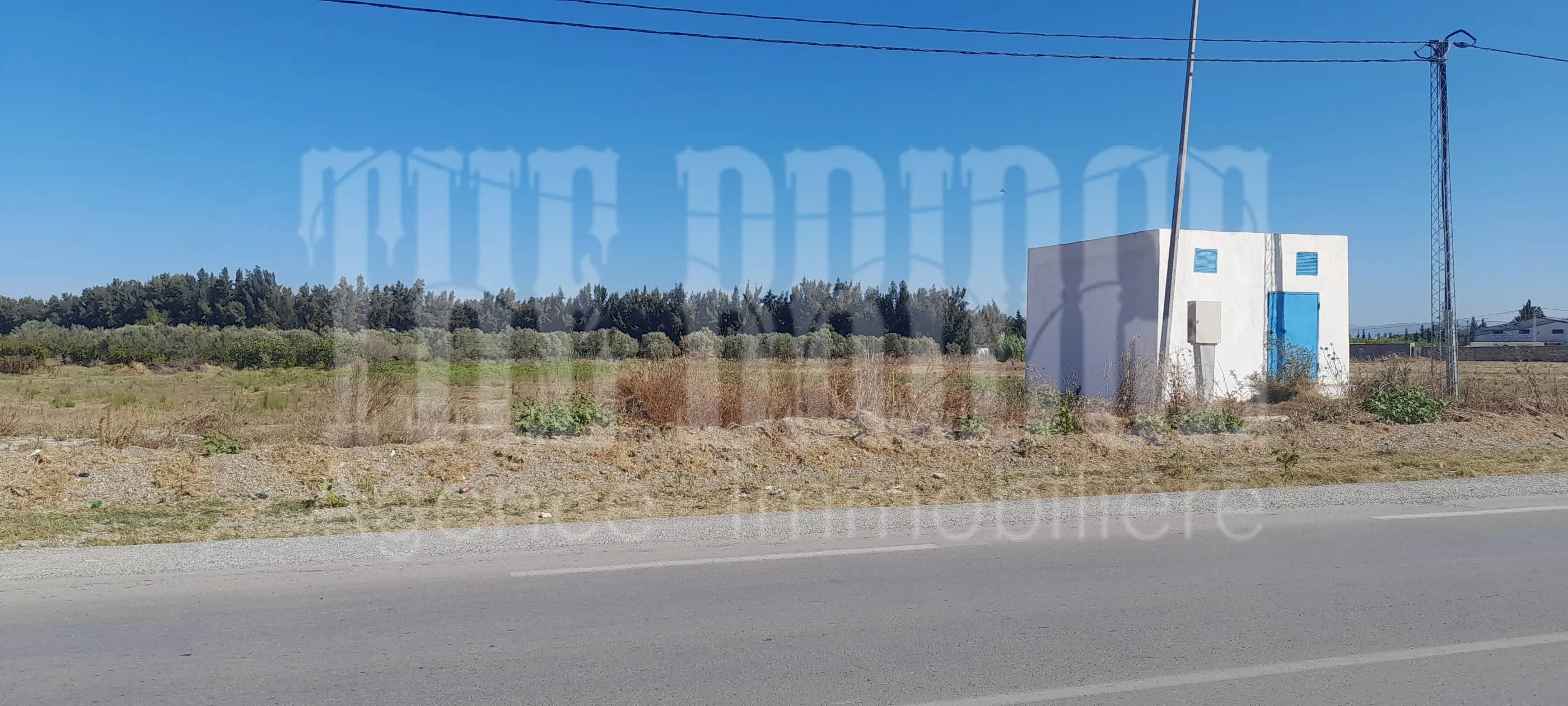 425 m² à Turki sur la route R27