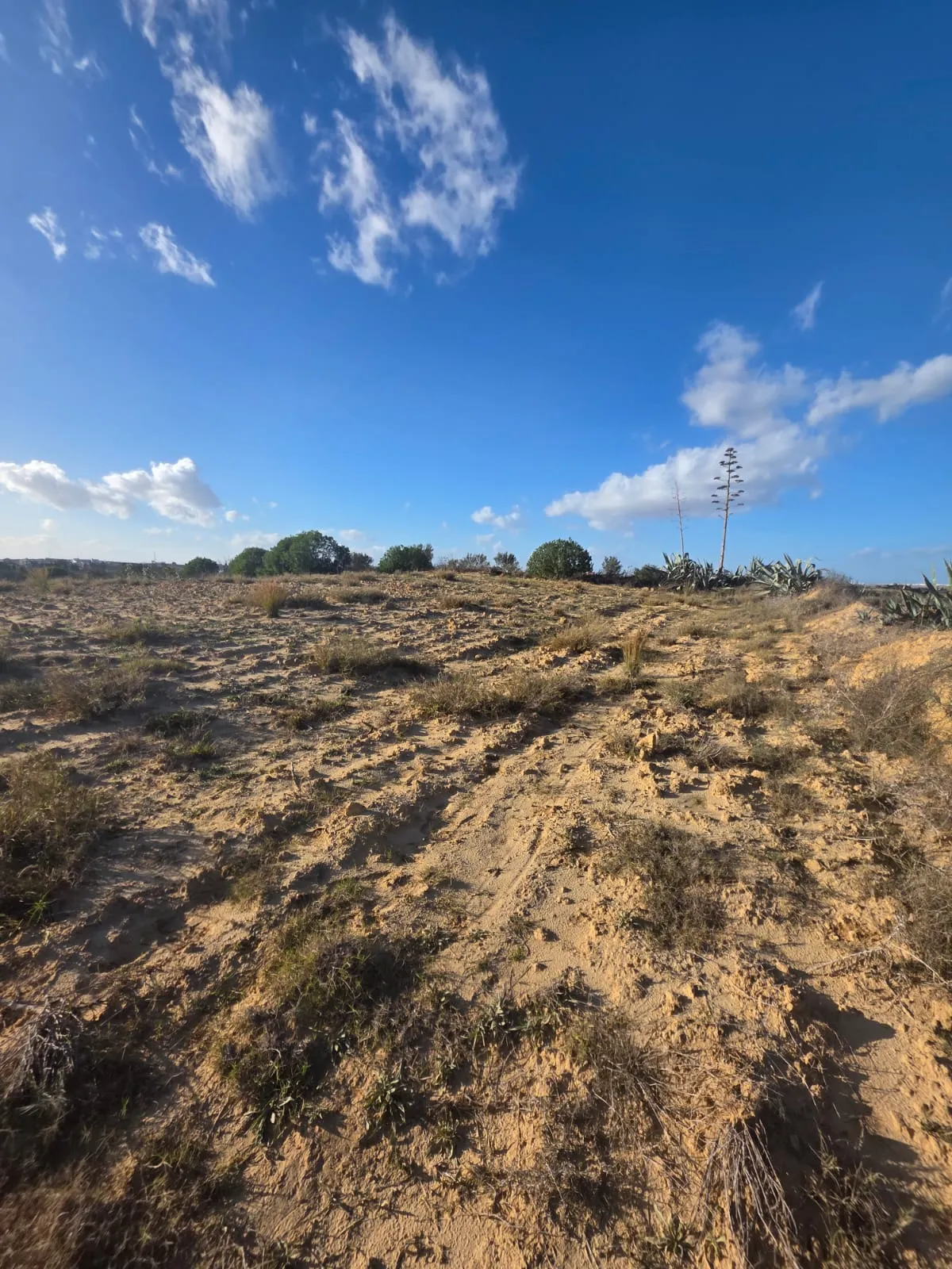Terrain Collectif avec vue mer En Vente à Chott Mariem