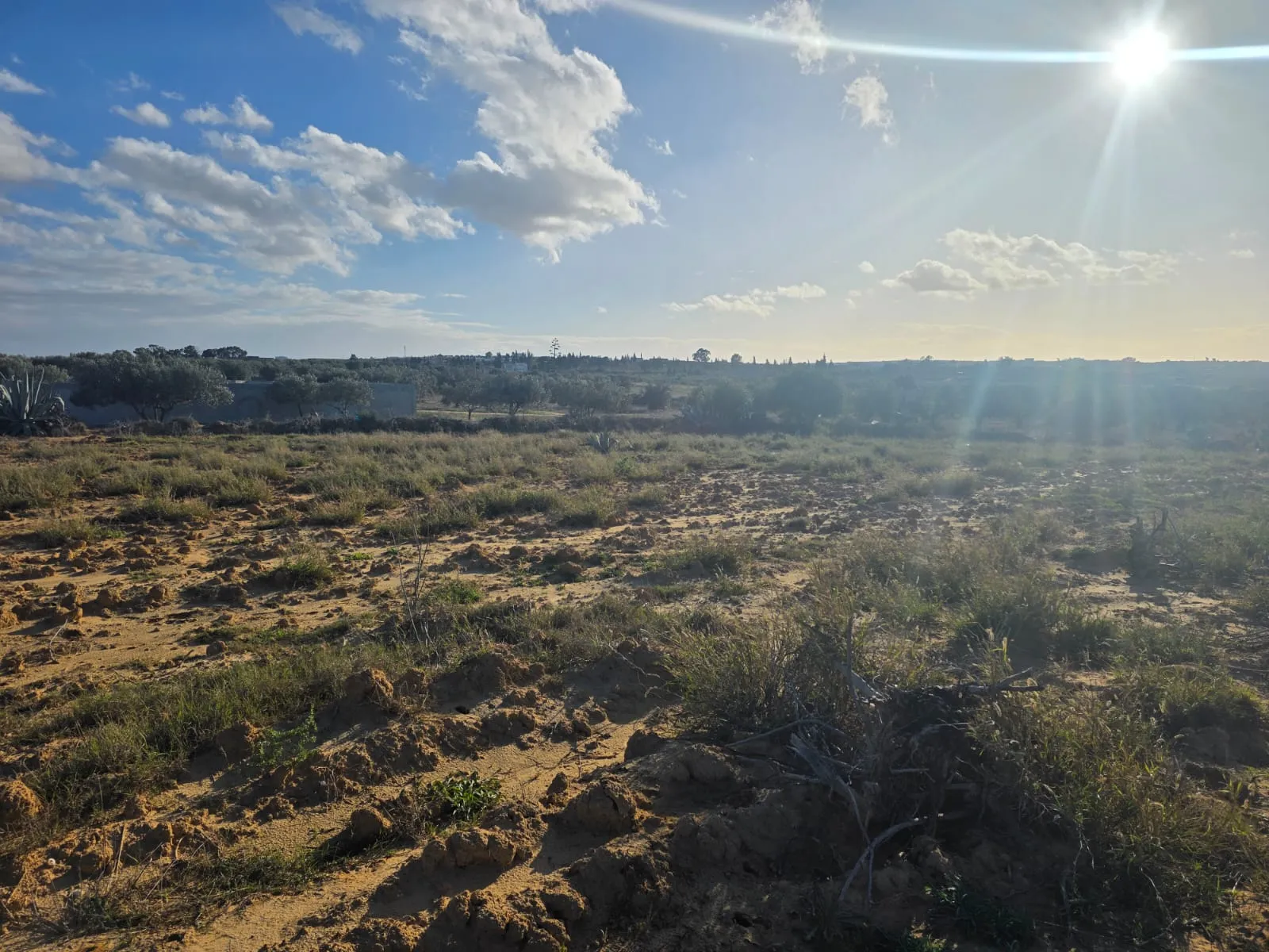 Terrain Collectif avec vue mer En Vente à Chott Mariem