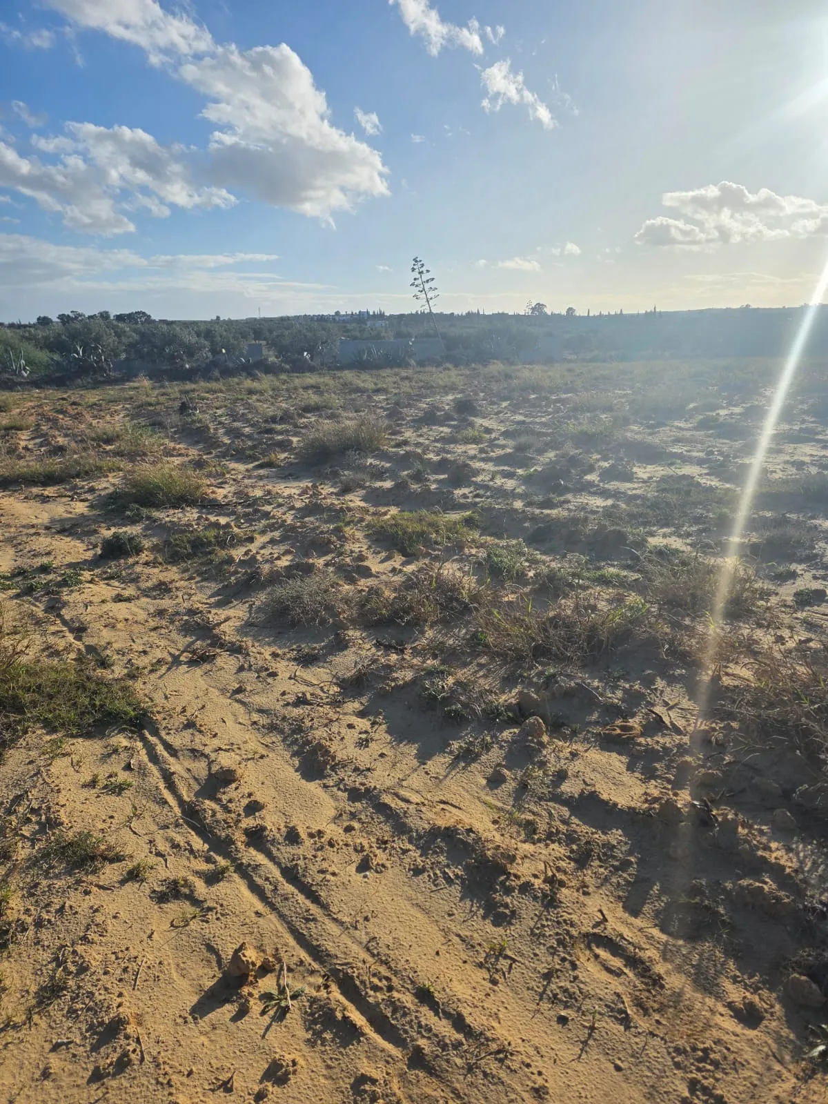 Terrain Collectif avec vue mer En Vente à Chott Mariem